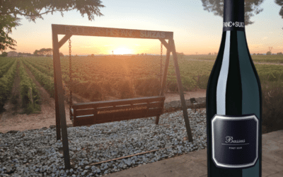 La Uva Pinot Noir en España: Un Tesoro para los Amantes del Vino