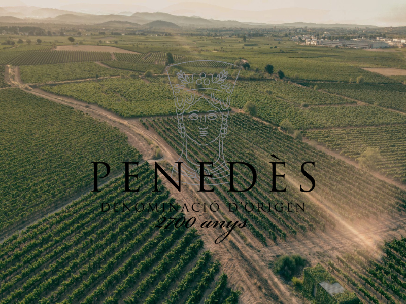 La DO Penedès: Primera Denominación de Origen 100% Ecológica en 2025